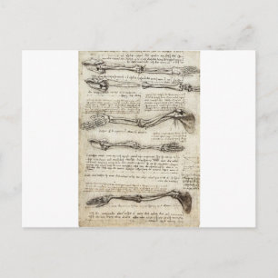 Postal Estudios del brazo realizados por Leonardo Da Vinc