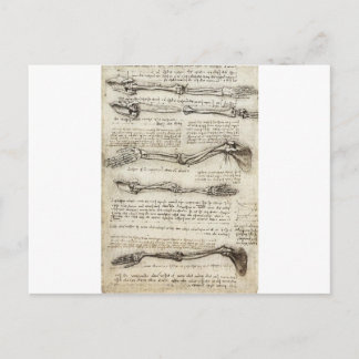 Postal Estudios del brazo realizados por Leonardo Da Vinc