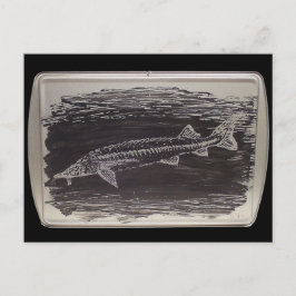 Postal Etching - Sterlet Sturgeon