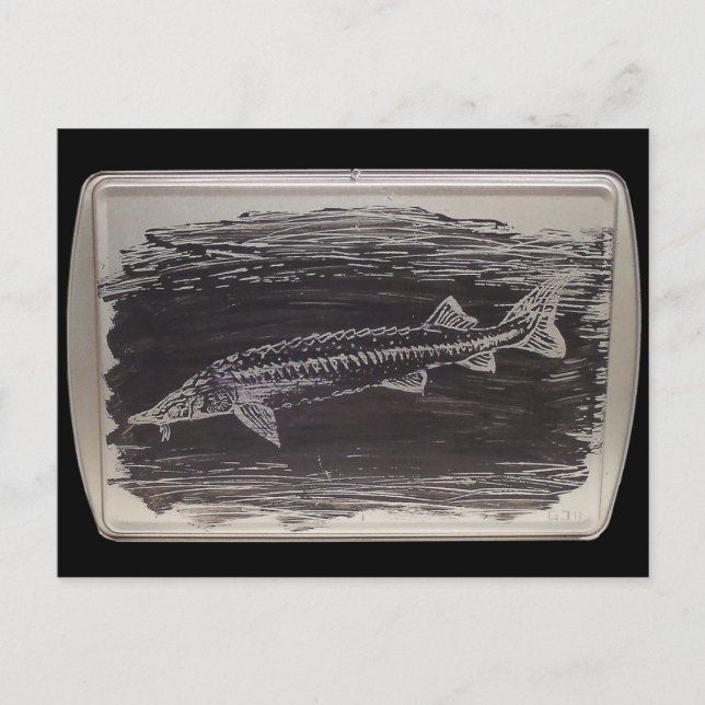 Postal Etching - Sterlet Sturgeon (Anverso)