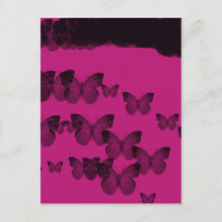 eternidad de la mariposa