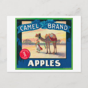 Postal Etiqueta de Apple Camel - Estado de Washington