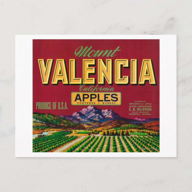 Postal Etiqueta de Apple del Monte Valencia - Watsonville (Anverso)
