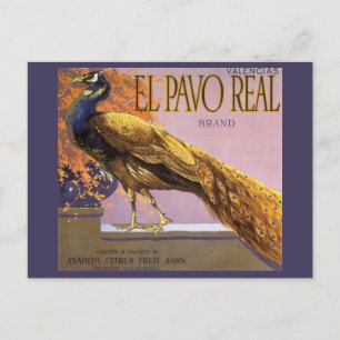 Postal Etiqueta de caja de fruta antigua Art El Pavo Peac