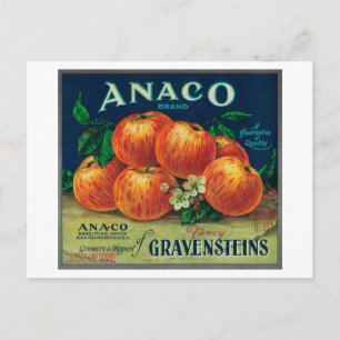 Postal Etiqueta de canal de Apple de Anaco