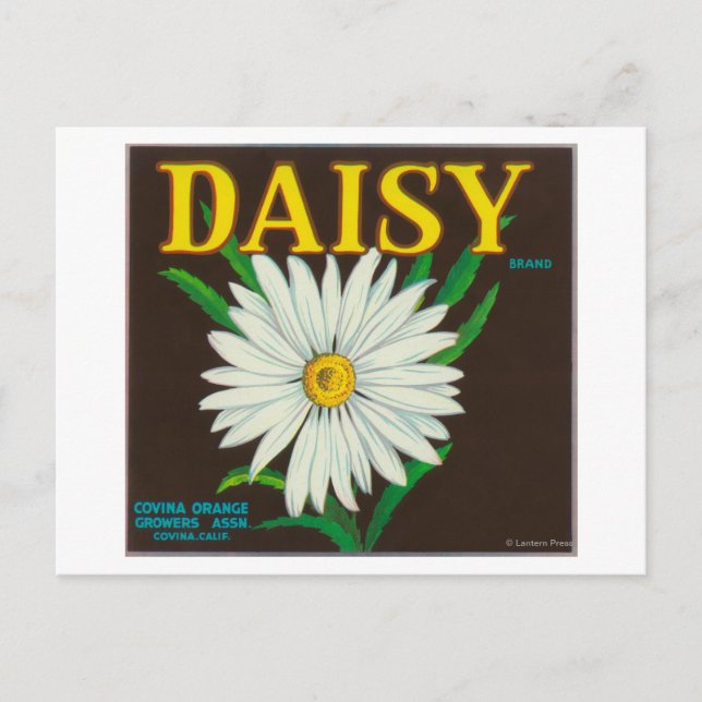 Postal Etiqueta de canal de Daisy Brand Citrus (Anverso)