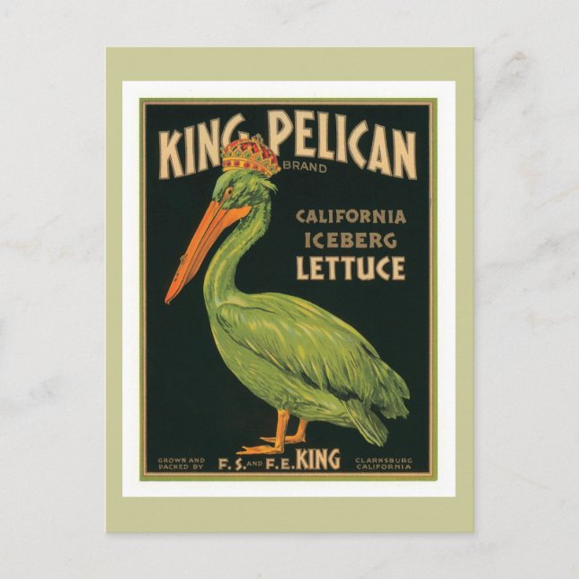 Postal Etiqueta de cosecha King Pelican (Anverso)