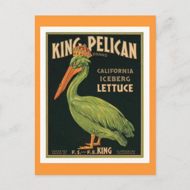 Postal Etiqueta de cosecha King Pelican (Anverso)