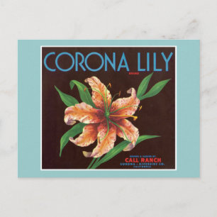 Postal Etiqueta de fruta vintage Corona Lily