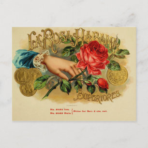 Postal Etiqueta de la caja de puros de vintage