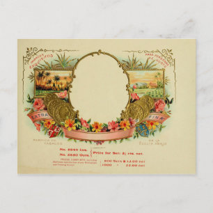 Postal Etiqueta de la caja de puros de vintage