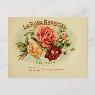 Postal Etiqueta de la caja de puros de vintage