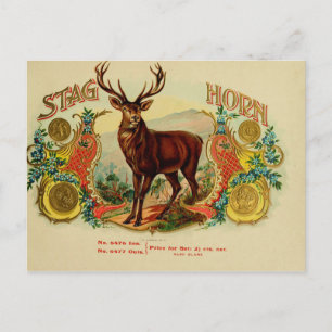 Postal Etiqueta de la caja de puros de vintage