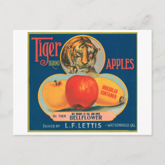 Postal Etiqueta de la etiqueta de la marca Tiger para man