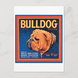 Postal Etiqueta de la marca Vintage Bulldog