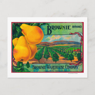 Postal Etiqueta de la tasa de color de la página BrownieC
