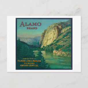 Postal Etiqueta de Naranja de ÁlamoFillmore, CA
