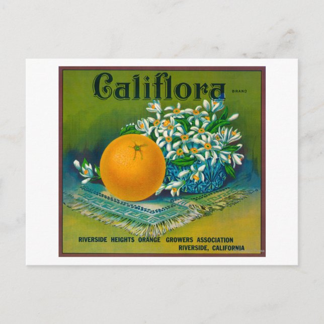 Postal Etiqueta de Naranja de CalifloraRiverside, CA (Anverso)