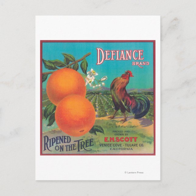 Postal Etiqueta de Naranja de DefianceVenecia Cove, CA (Anverso)