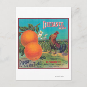 Postal Etiqueta de Naranja de DefianceVenecia Cove, CA