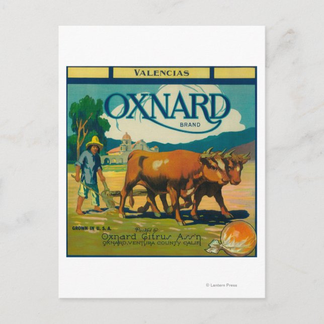 Postal Etiqueta de Naranja de OxnardOxnard, CA (Anverso)