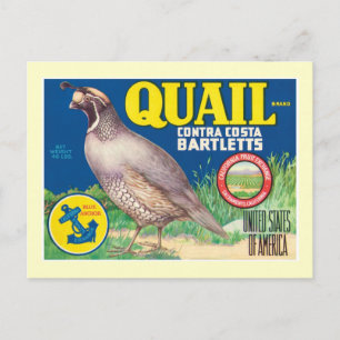 Postal Etiqueta de producto de alimentos de época