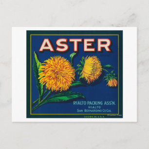 Postal Etiqueta de tasa de cítricos de marca Aster