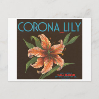 Postal Etiqueta de tasa de vintage de la marca Corona Lil