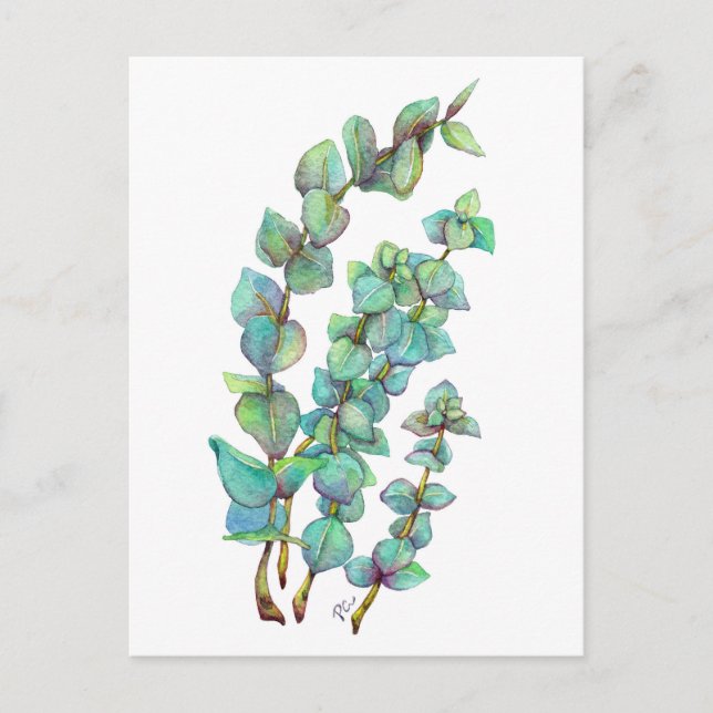 Postal Eucalyptus 02 (Anverso)