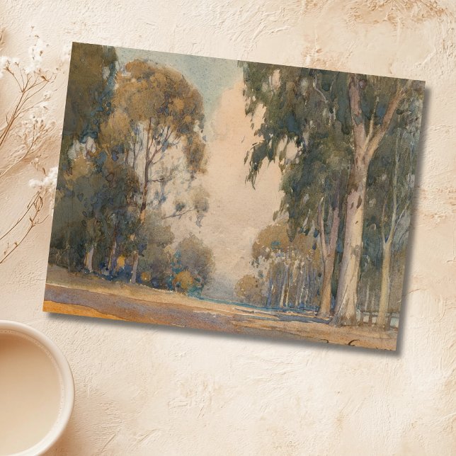Postal Eucalyptus (1922) - Agua Delicada Botánica (Subido por el creador)