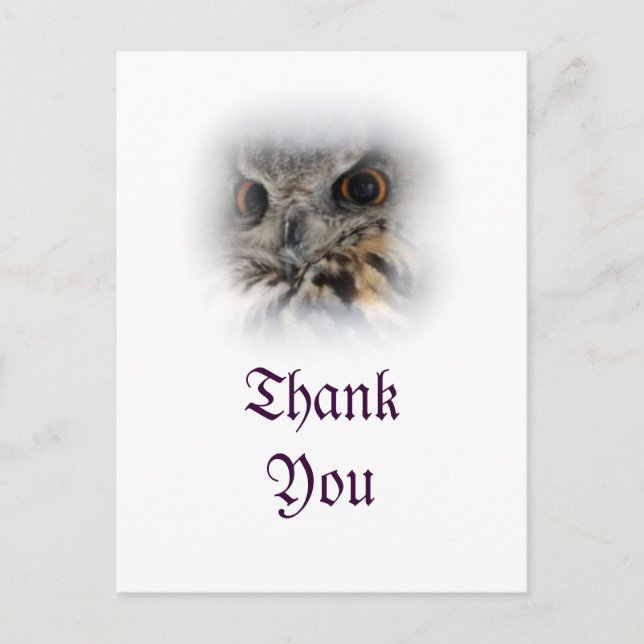 Postal Eurasiática Eagle-owl Gracias Postcard (Anverso)