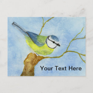 Postal Eurasion Blue Tit