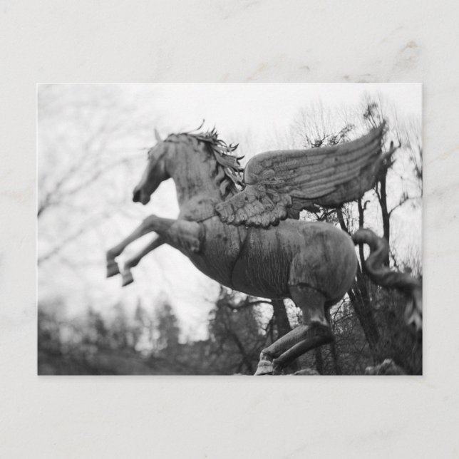 Postal Europa, Austria, Salzburgo. Estatua de caballo ala (Anverso)