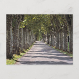 Postal Europa, Francia, Cereste. Los árboles bordean esta