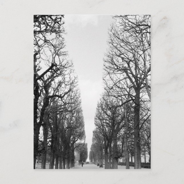 Postal Europa, Francia, París. Árboles de invierno, Marco (Anverso)