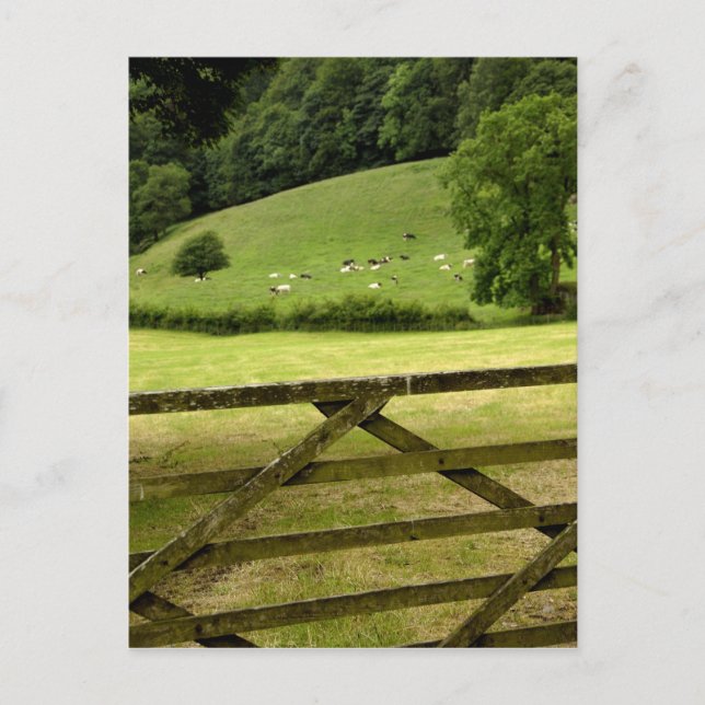 Postal Europa, Inglaterra, Distrito de los Lagos, Cumbria (Anverso)