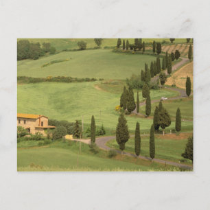 Postal Europa, Italia, Toscana, Monticchiello. Curva