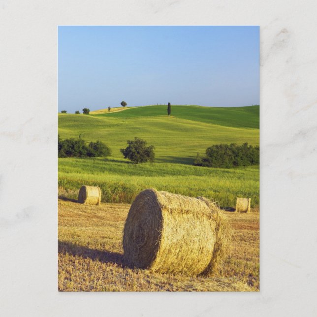 Postal Europa, Italia, Toscana, Val d'Orcia, Pienza - (Anverso)
