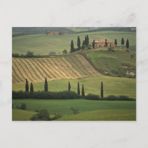 Postal Europa, Italia, Toscana, Val d'Orcia, Toscana