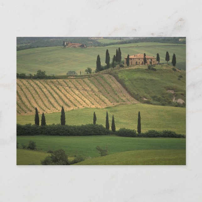 Postal Europa, Italia, Toscana, Val d'Orcia, Toscano (Anverso)