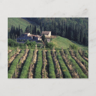 Postal Europa, Italia, Toscana. Villa pintoresca chipre.
