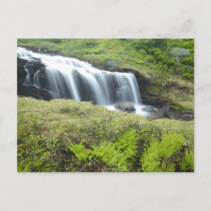 Postal Europa, Noruega. Cascada.
