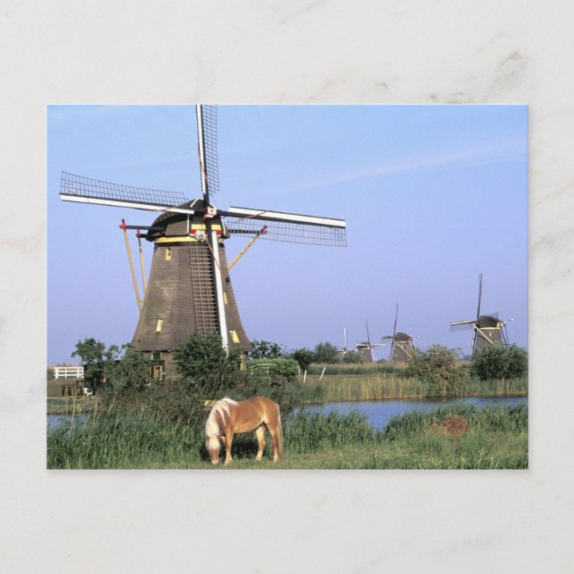 Postal Europa, Países Bajos, Zuid Holanda, Kinderdijk. 2 (Anverso)
