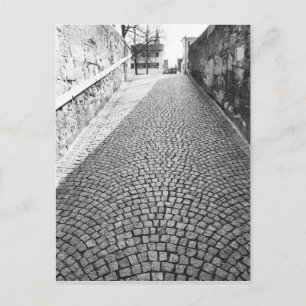 Postal Europa, Suiza, Zúrich. Calle aderezada,