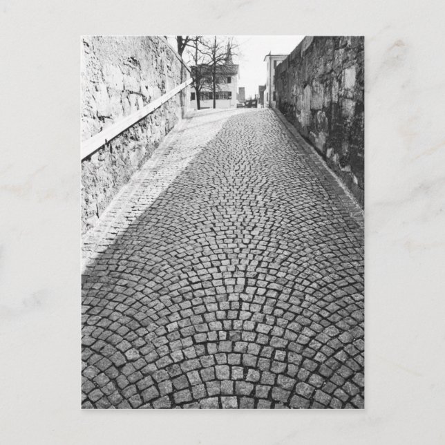 Postal Europa, Suiza, Zúrich. Calle aderezada, (Anverso)