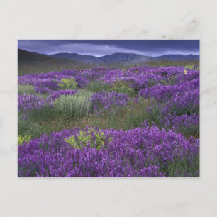 Postal Europa, Turquía, Capadocia. Paisaje rural 2