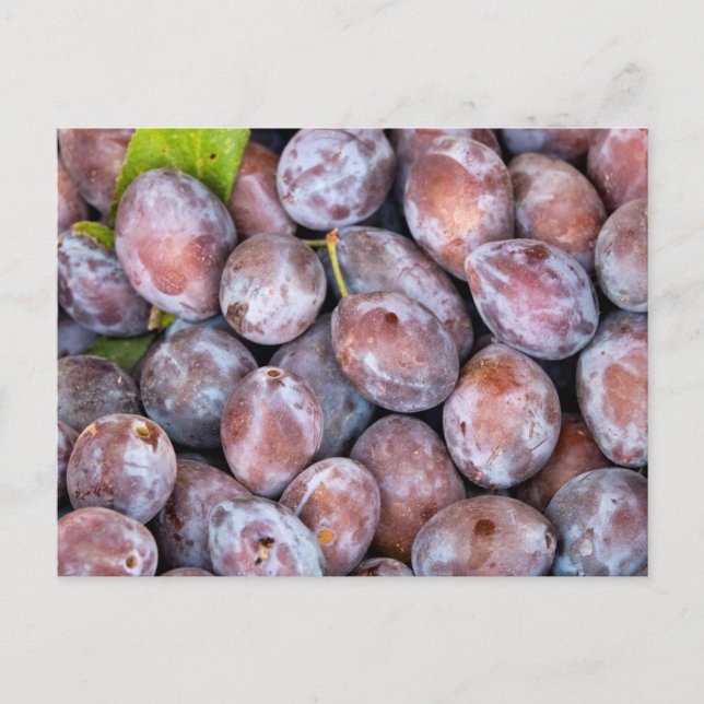 Postal European plums (Anverso)