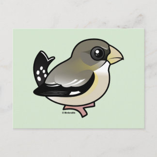 Postal Evening Grosbeak (f)