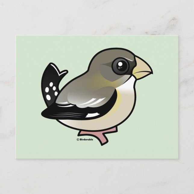 Postal Evening Grosbeak (f) (Anverso)