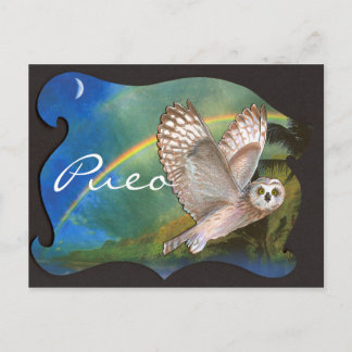 Postal Evening Pueo